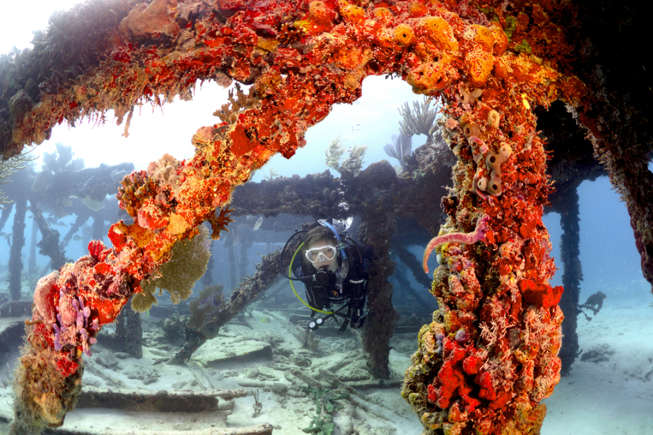 A diver swimming through a rusted shipwreck