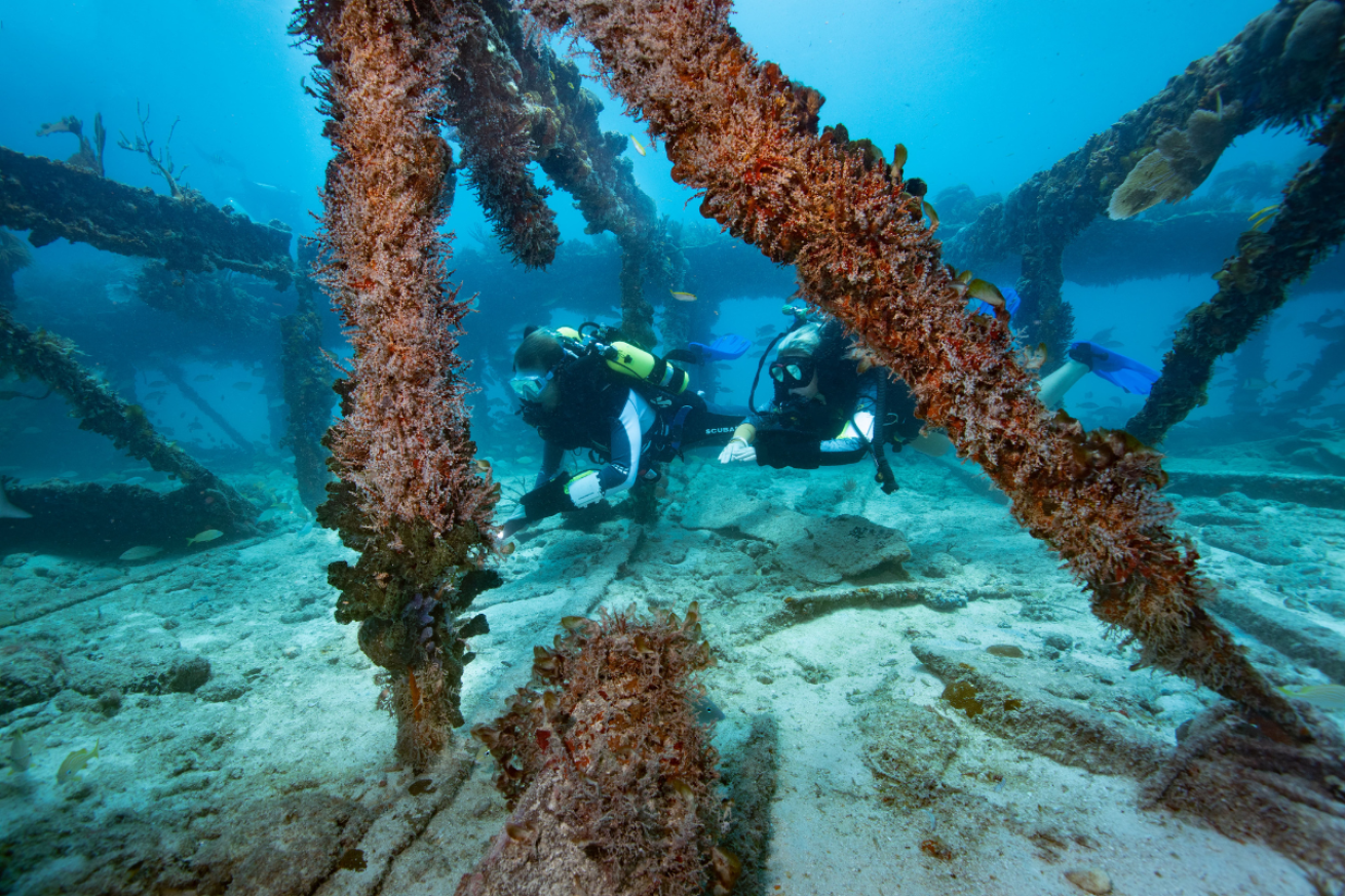 Two divers swimming through wreckage