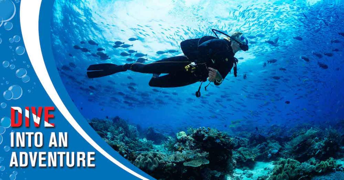 Belize Dive Haven
