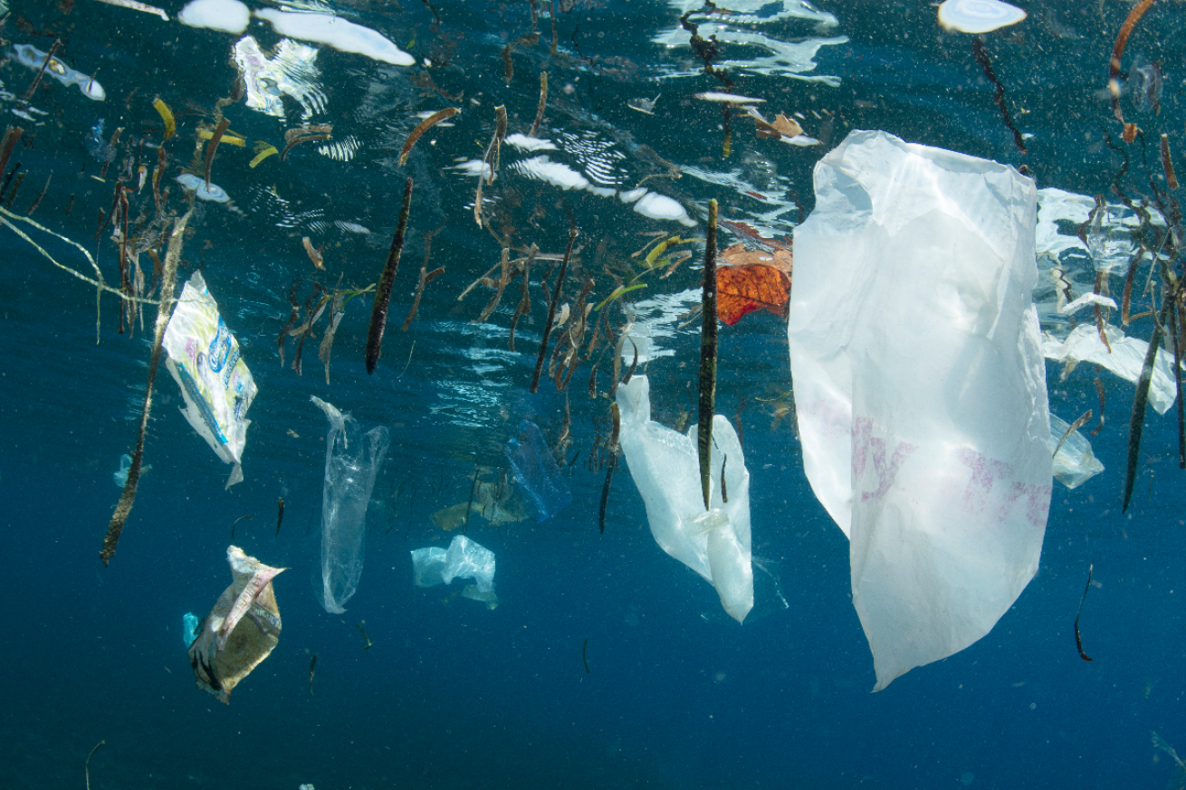 Plastic bags and bottles and other assorted trash litter the ocean floor and blanket the ocean surface in the Great Pacific Garbage Patch.