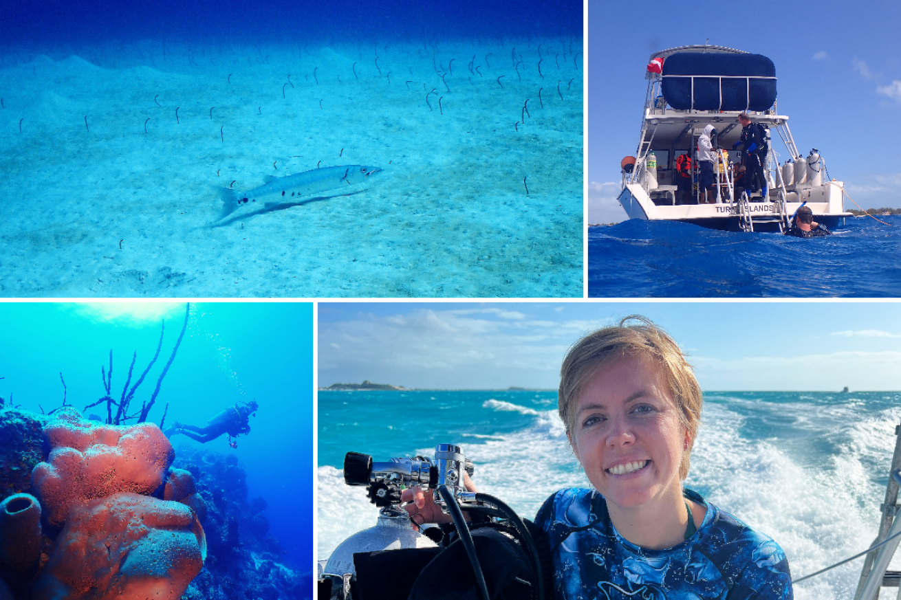 Images of west caicos above and below water