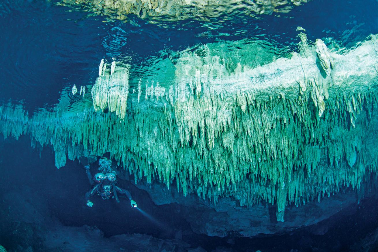 A diver explores Mexico’s Tajma Ha cenote.