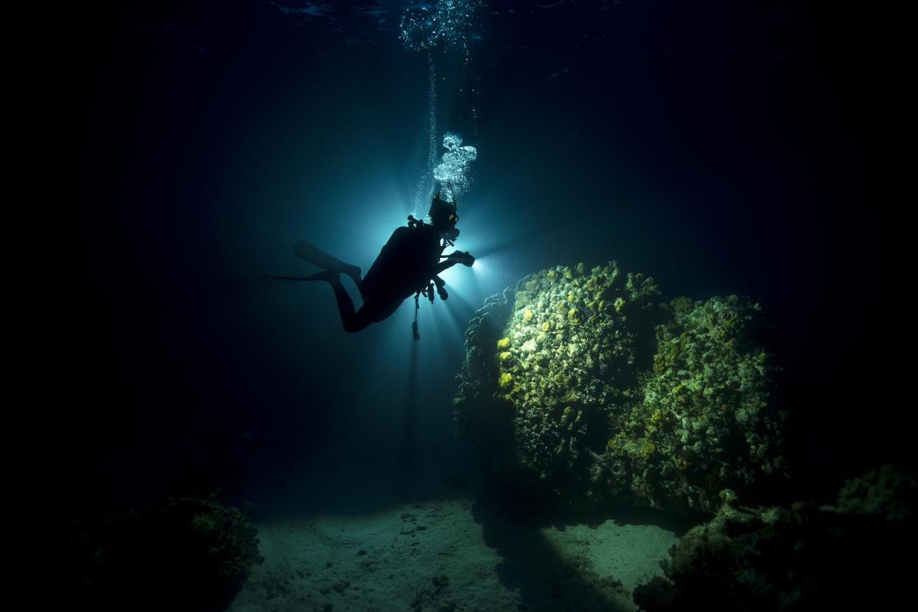 A diver illuminates a reef.