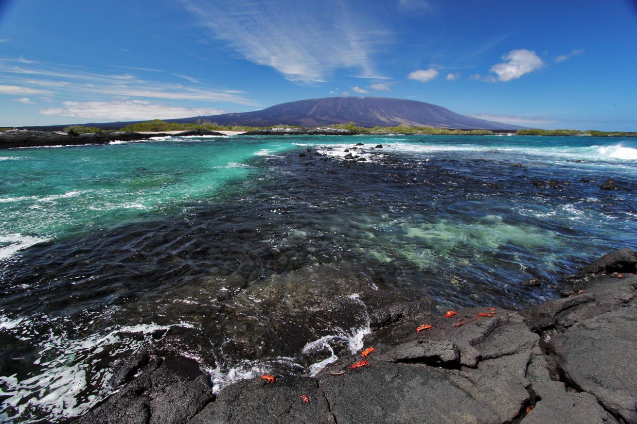 Fernandina Island is the third largest island of Galapagos Islands.