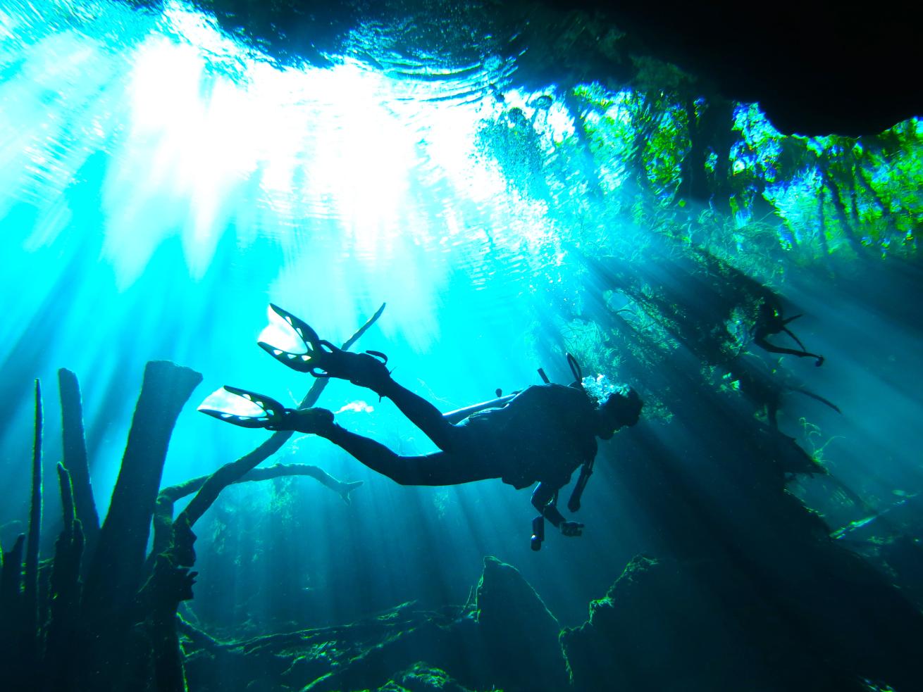 An otherworldly and unforgettable experience of diving the Cenotes in Mexico 