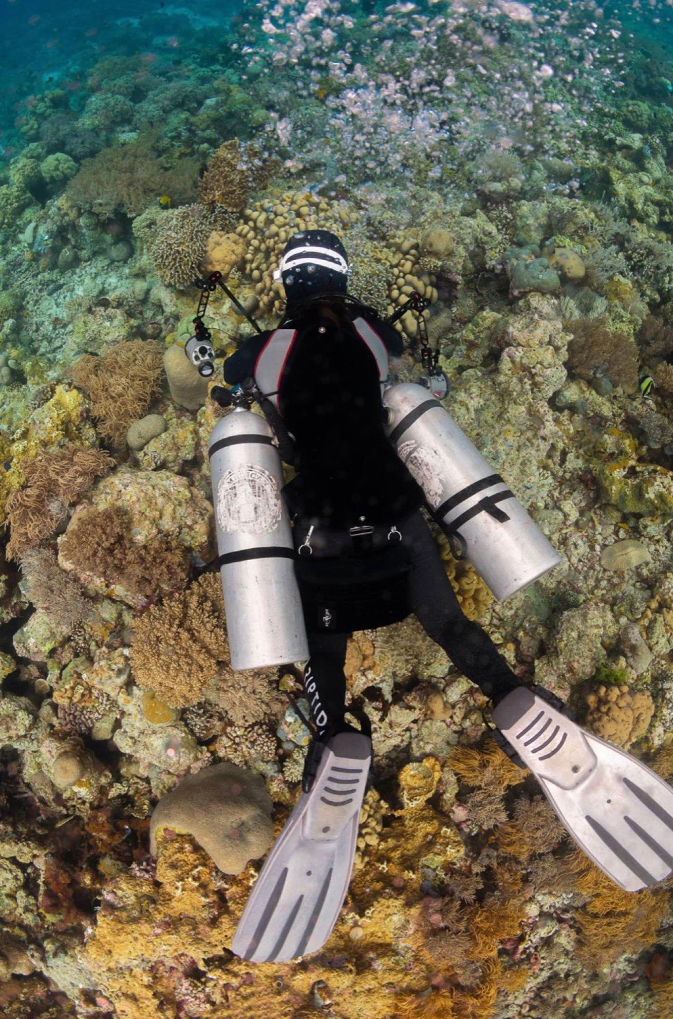 A sidemount diver hovering above a reef.