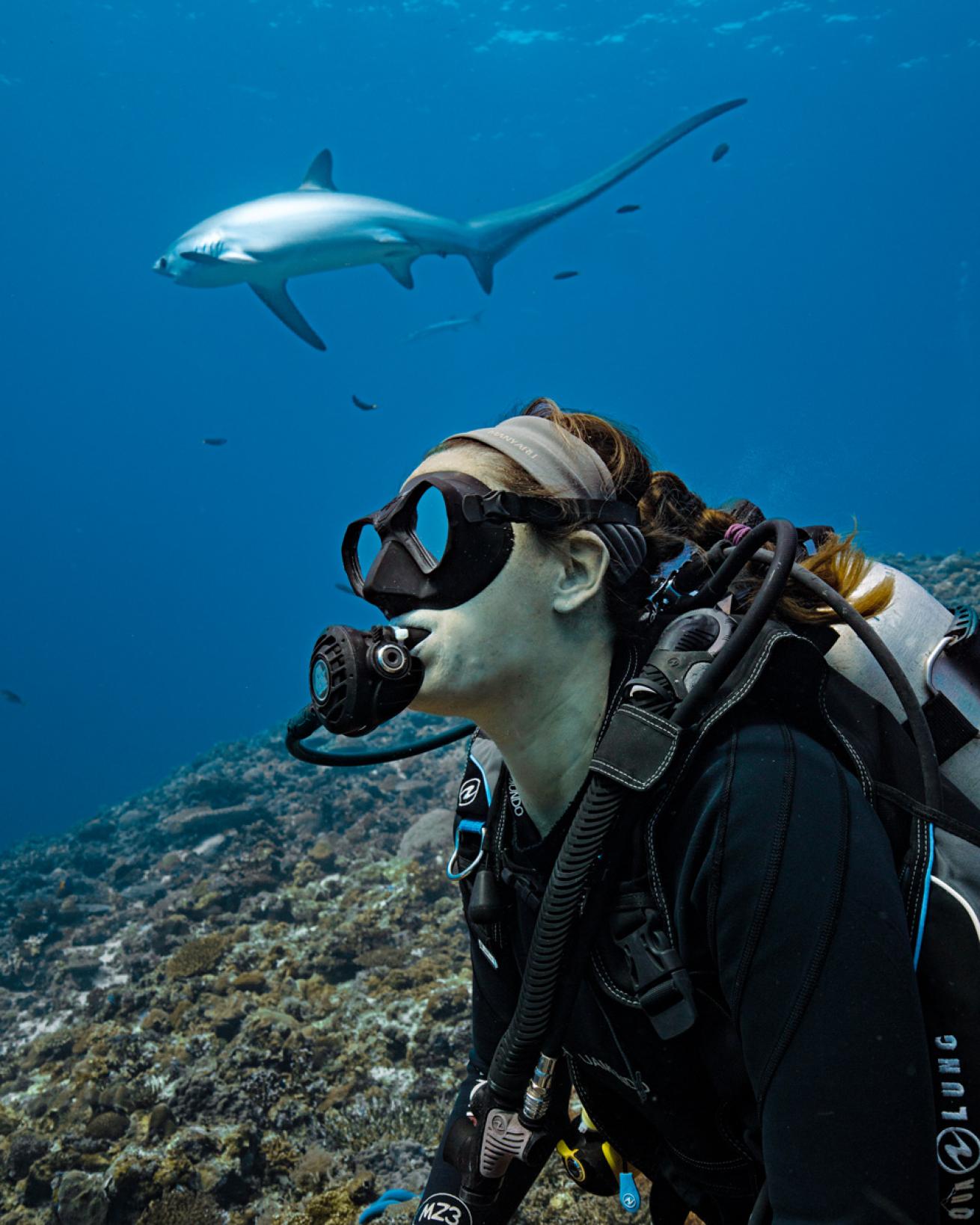 a diver and a thresher shark