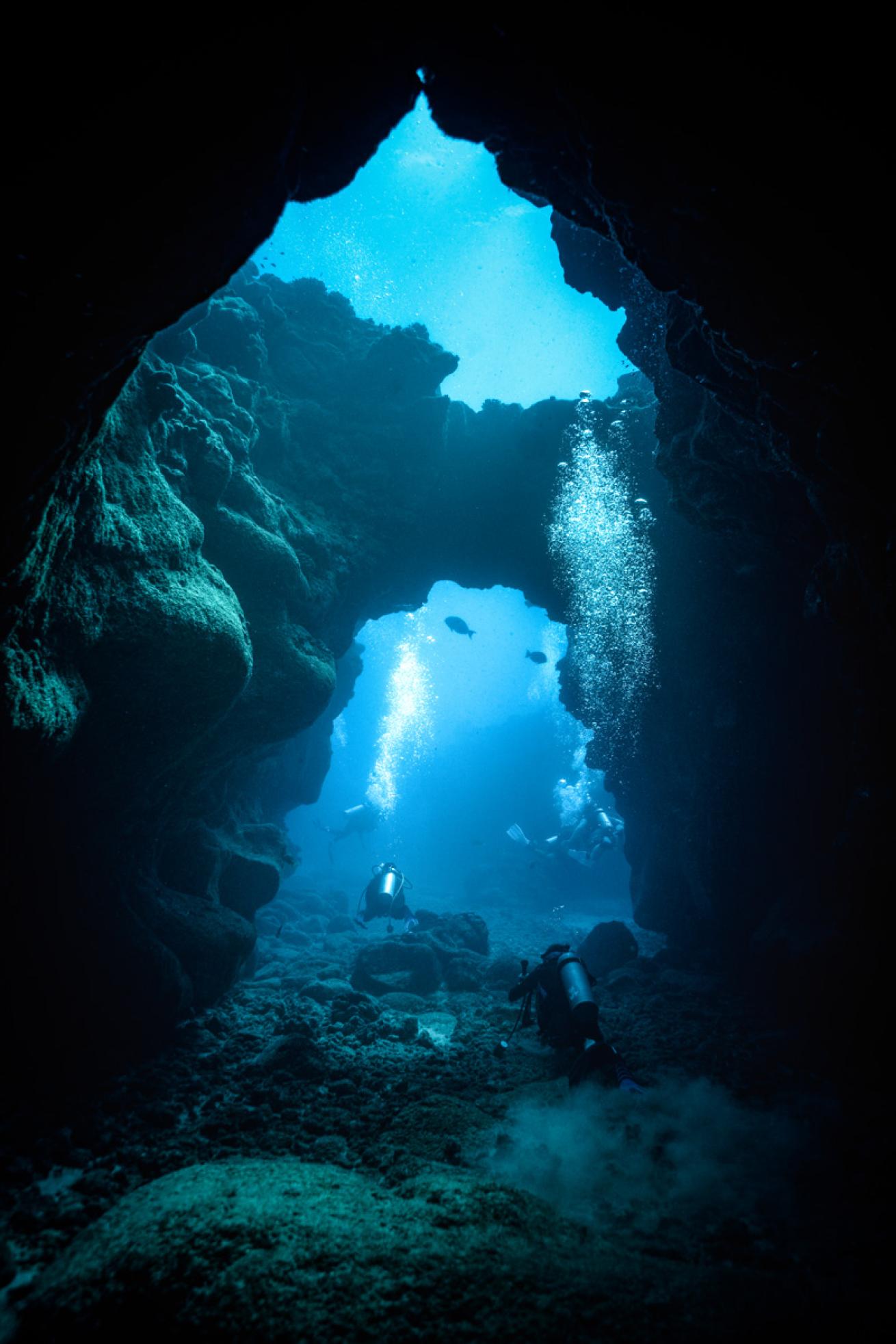 colorful fish swirl around the lava tube formations