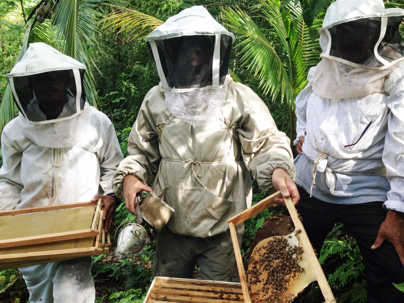 Island Honey Beekeepers