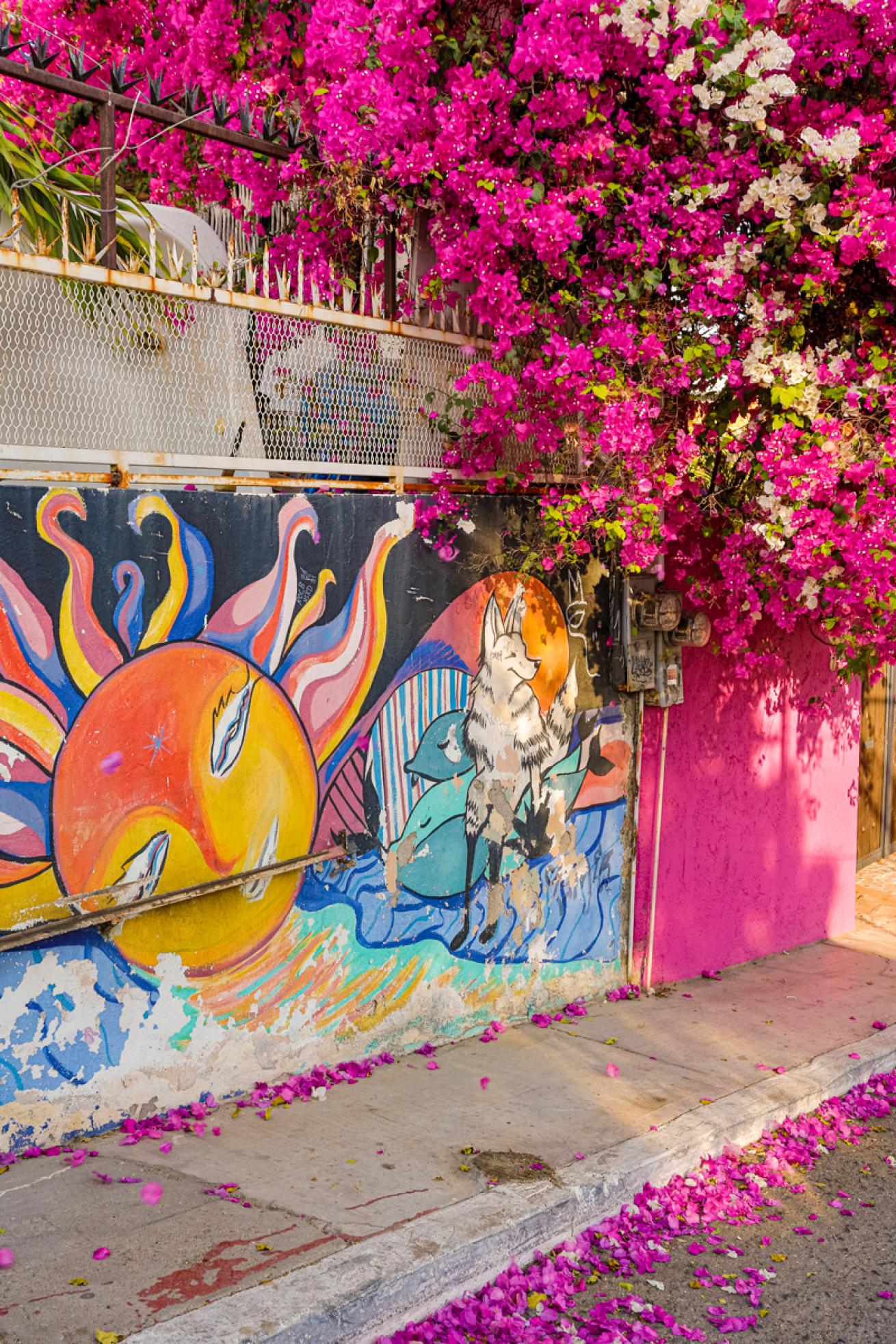 A bright mural in La Paz.