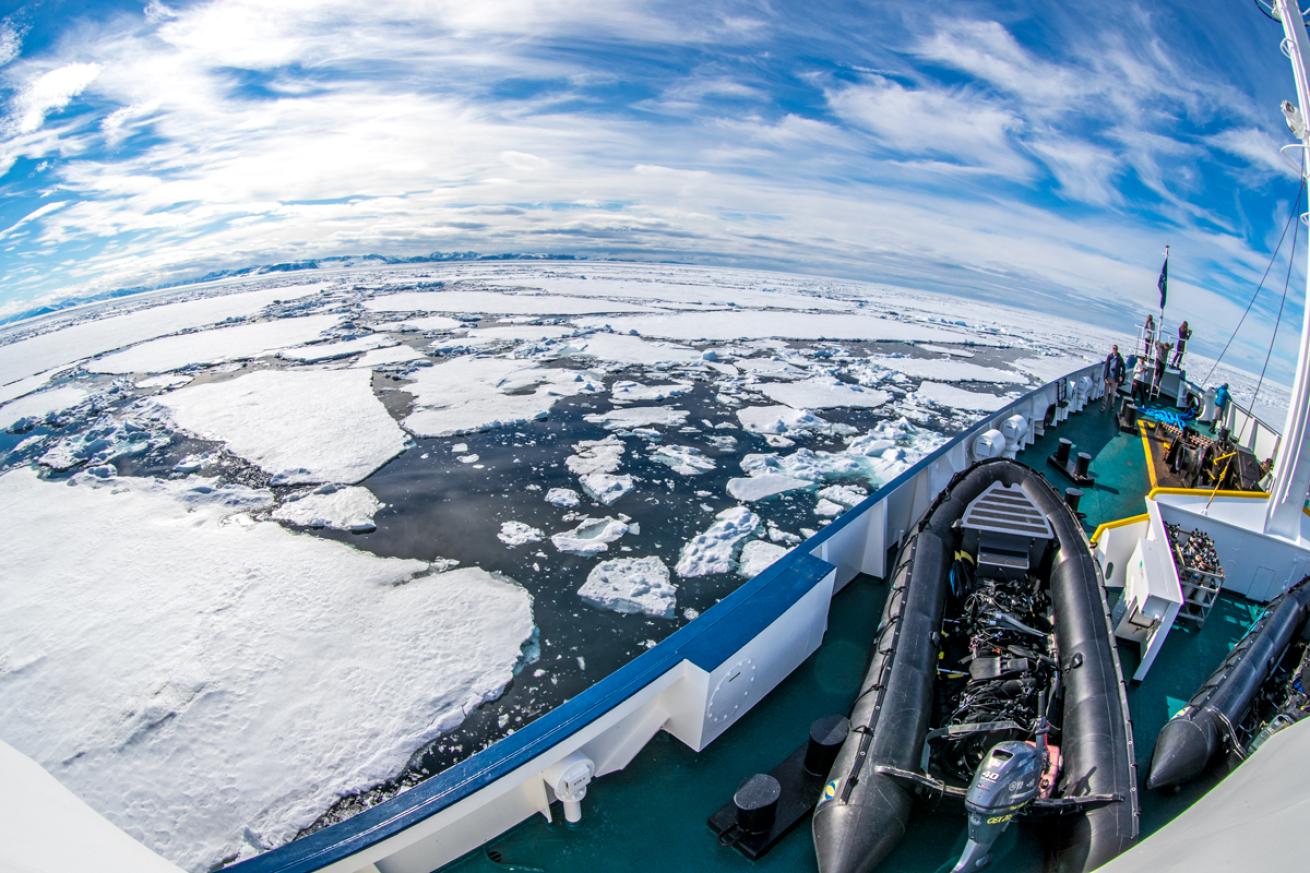 Arctic Diving