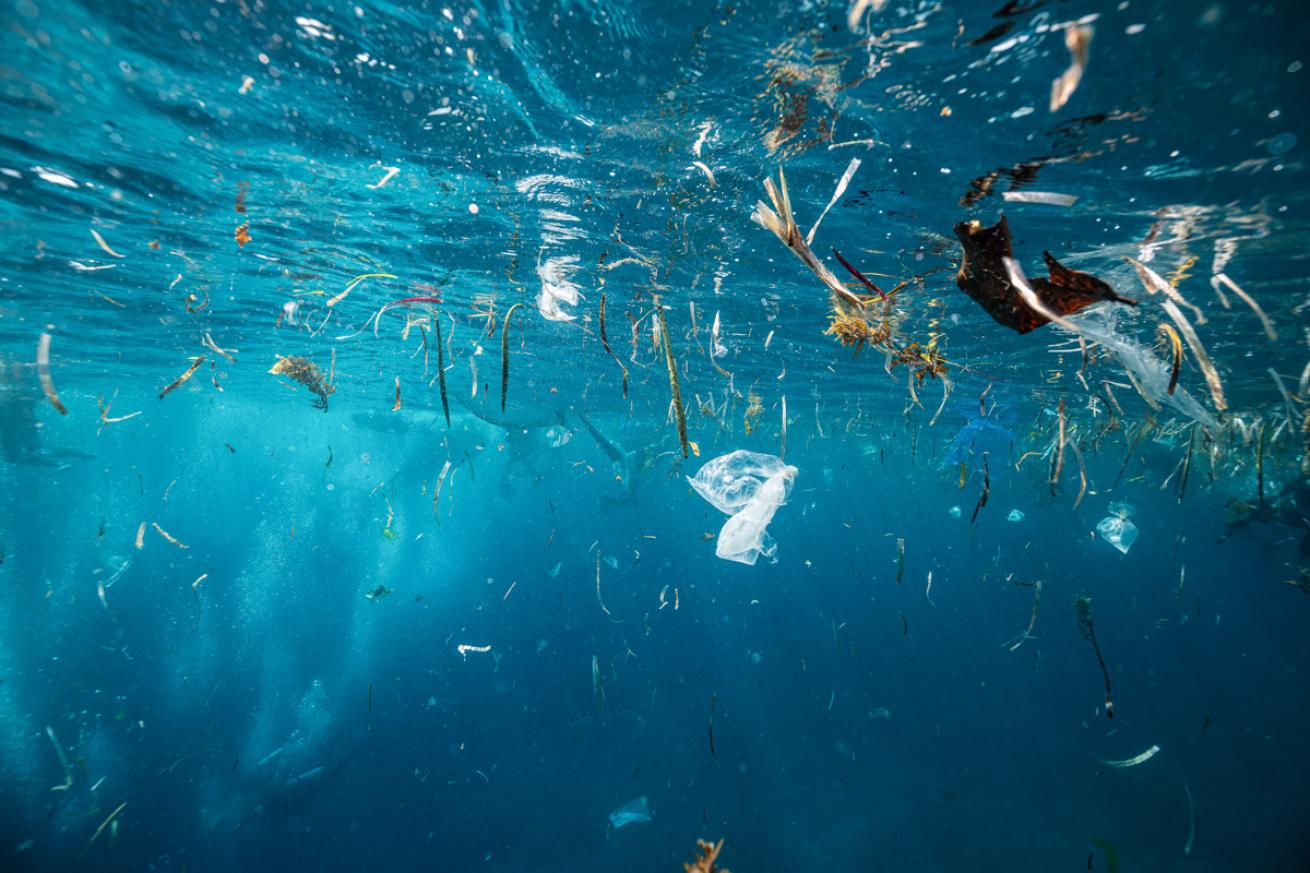 Seeing trash underwater can be heartbreaking, but every diver can contribute to the solution.