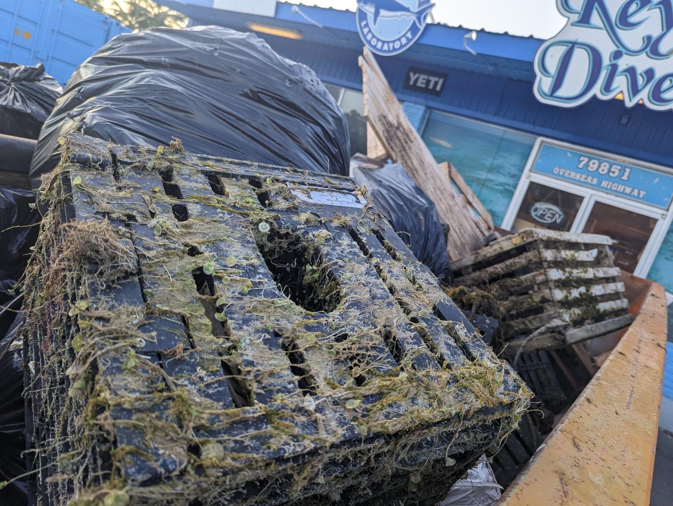 Marine debris in the Florida Keys is primarily made up of derelict traps and line that have come loose during storms or been lost at sea.