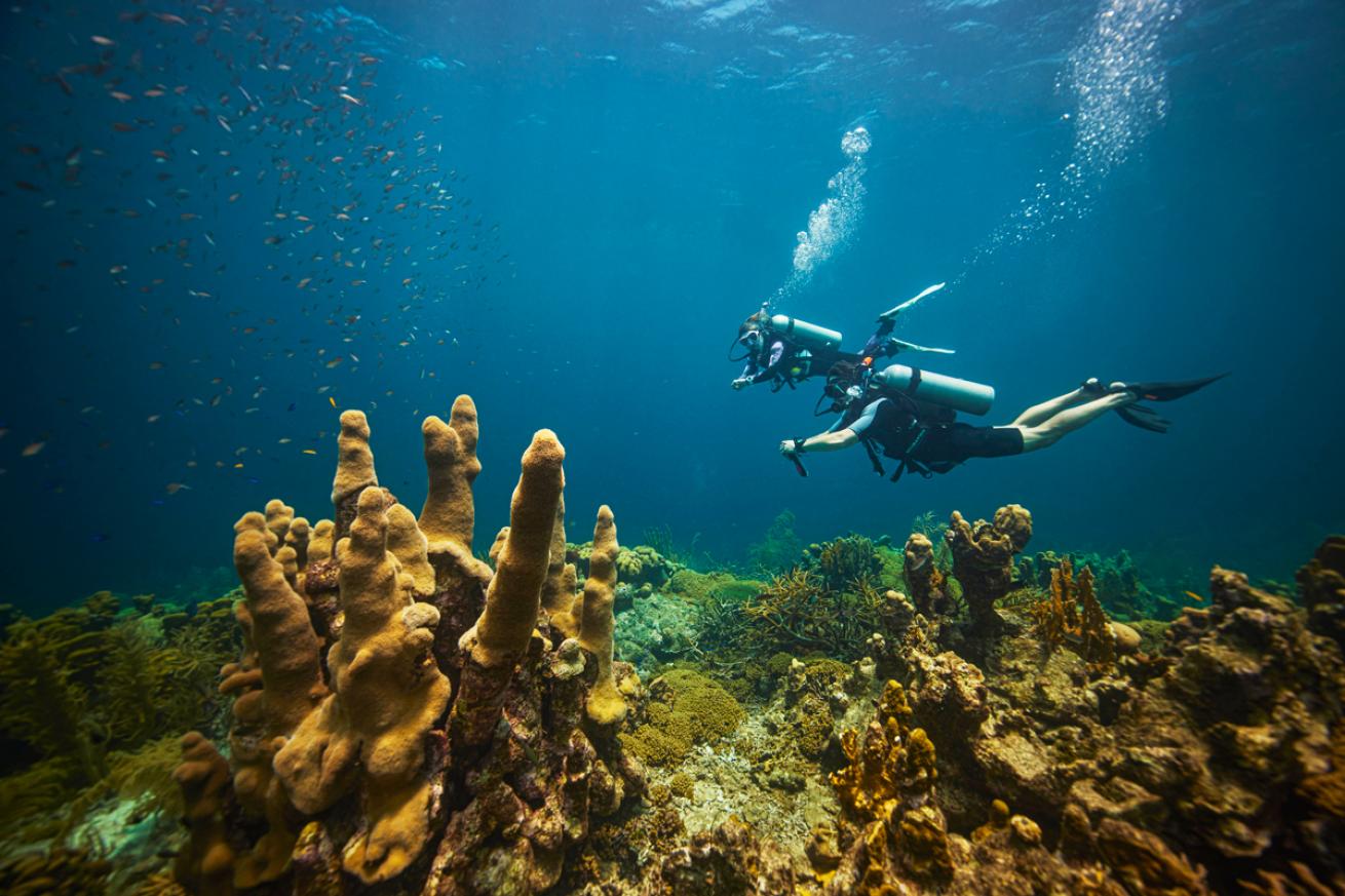 A pair of buddies fins along the site Divers Leap at Caracas Bay, Curaçao.