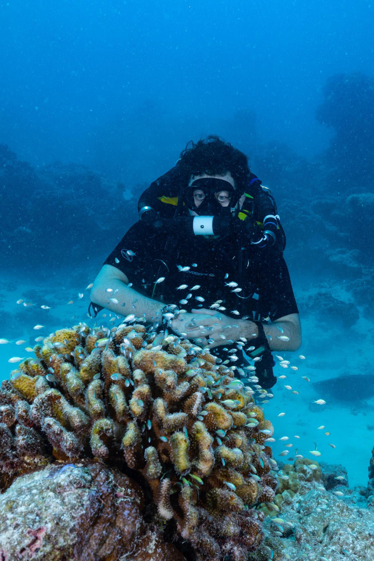 A rebreather scuba diver looking at a reef