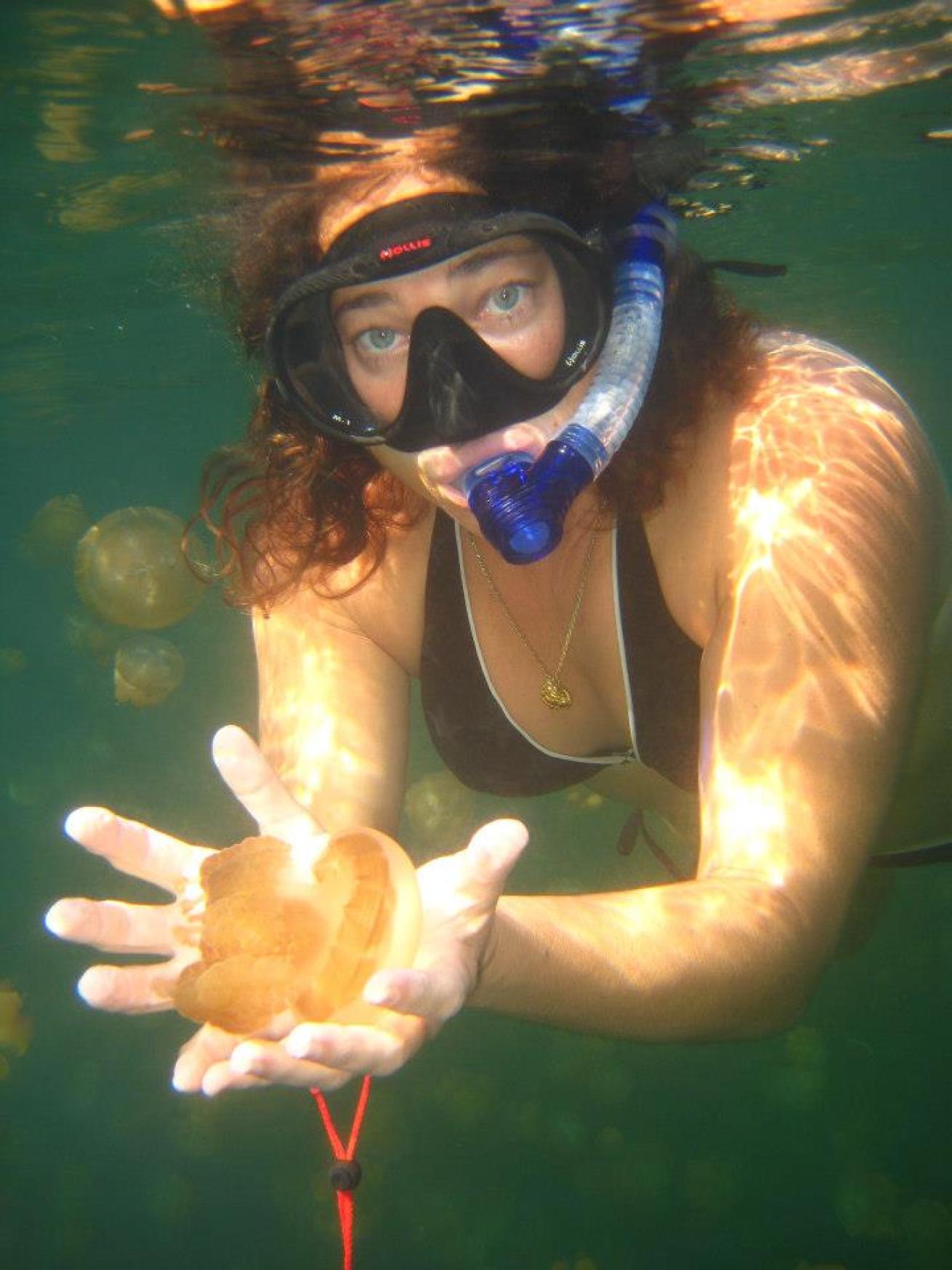 Autumn Blum cradles a golden jellyfish in Palau during the trip that inspired her to create Stream2Sea.