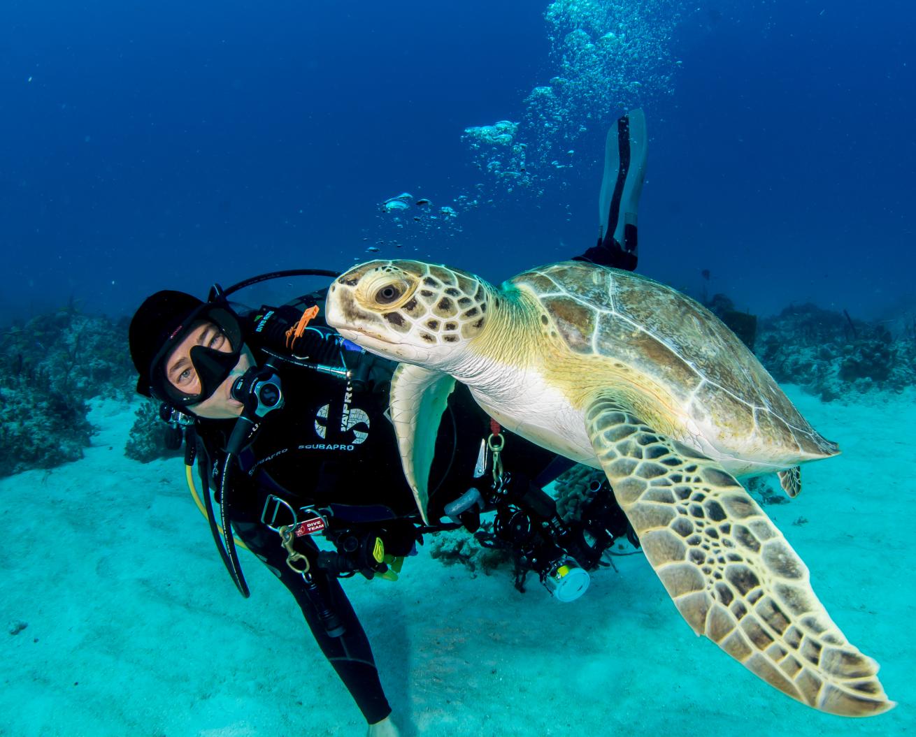Stream2Sea founder Autumn Blum is happiest underwater and has dedicated her career to creating safe products for humans and the sea.