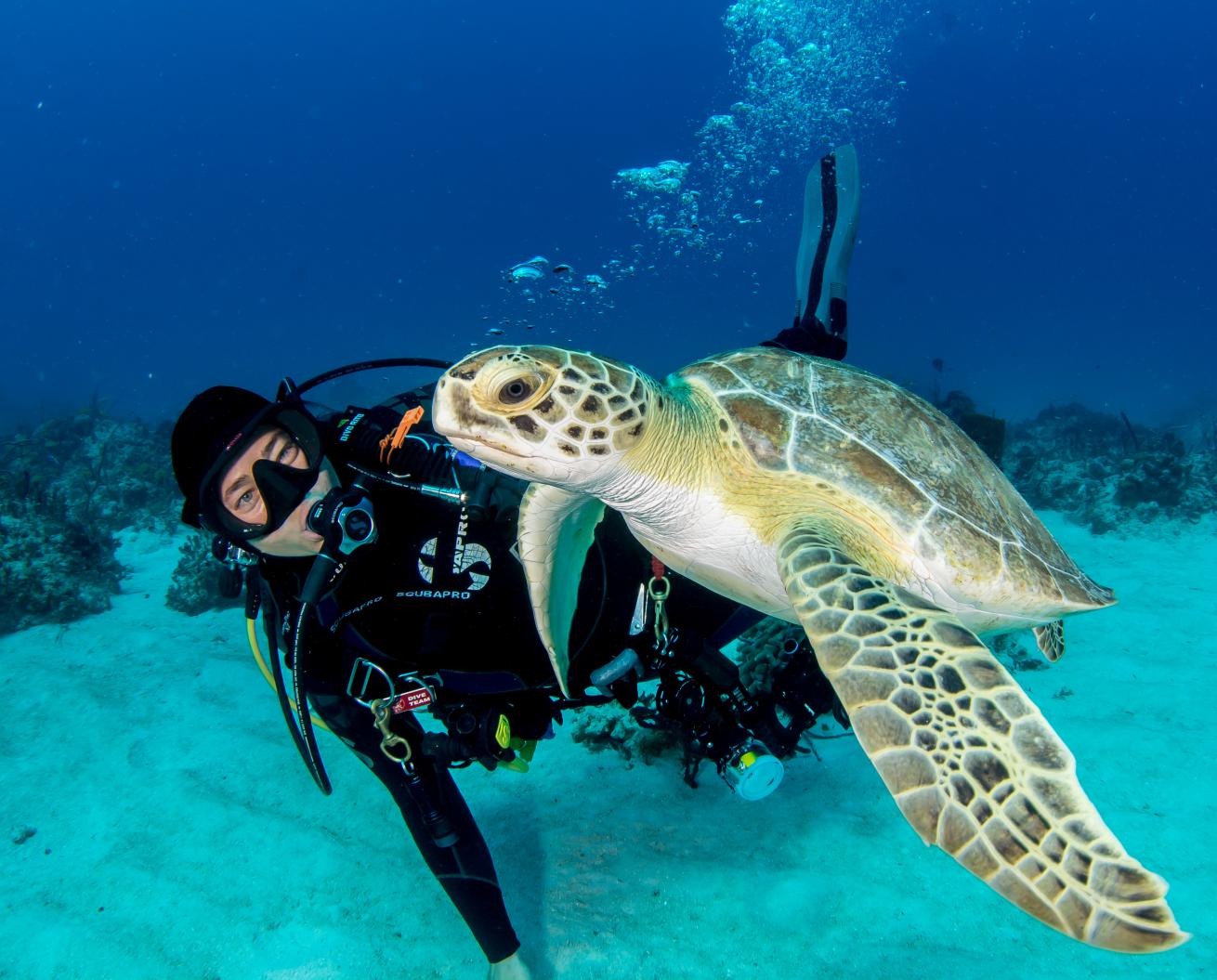 Stream2Sea founder Autumn Blum is happiest underwater and has dedicated her career to creating safe products for humans and the sea. 