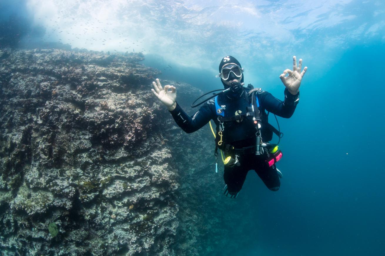 A zen diver hovers in the Galapagos.