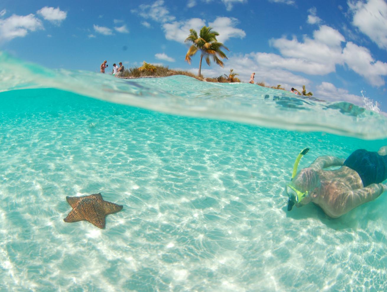 Snorkeler with starfish