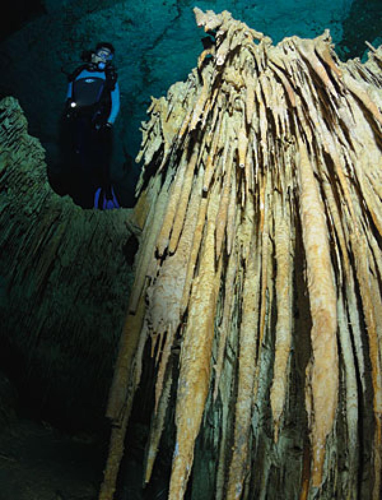 cenotes of Riviera Maya