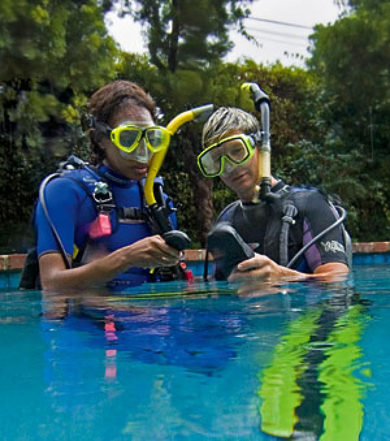 teaching diving
