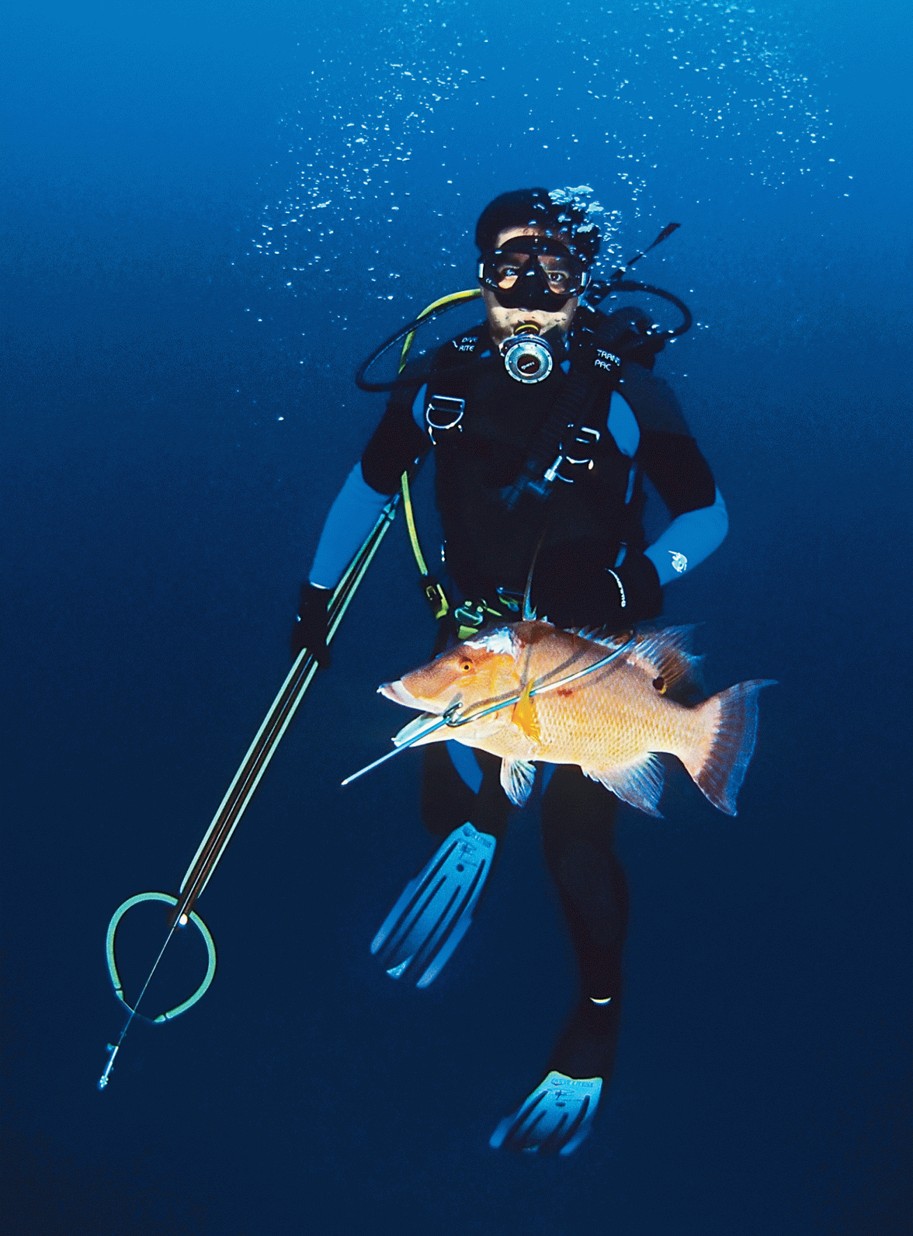 Ask an Expert Should You Spearfish on Scuba Scuba Diving