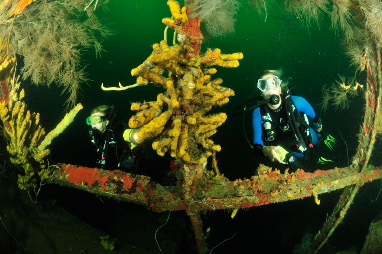 Wreck diving on the Bianca C in Grenada