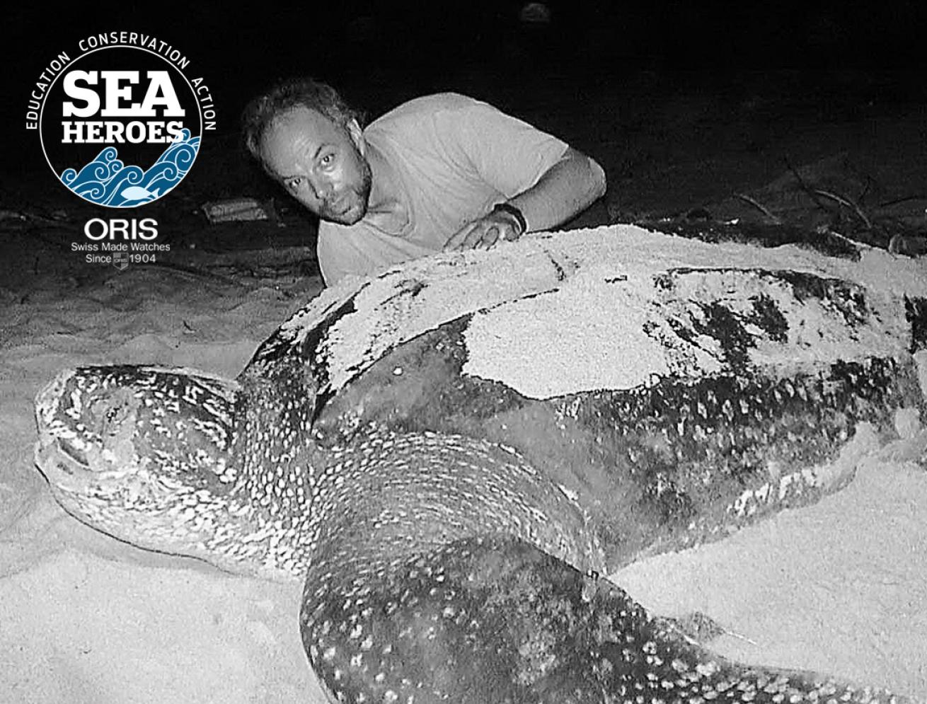 Carl Safina Living Oceans Program Turtle Black and White Sea Hero