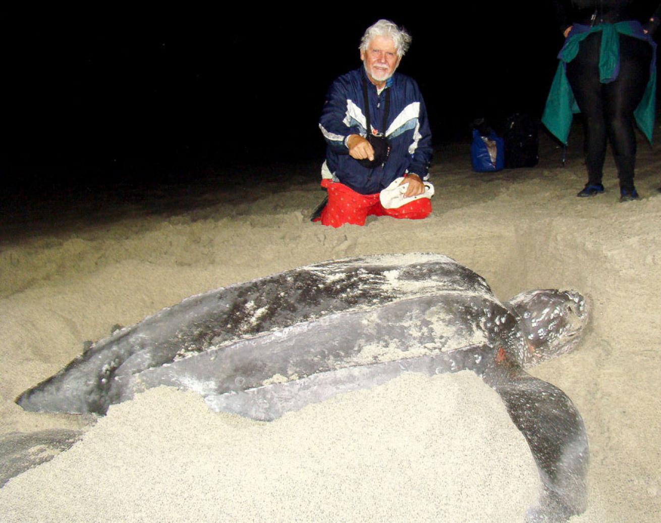Larry McKenny with Leatherback Sea Turtle