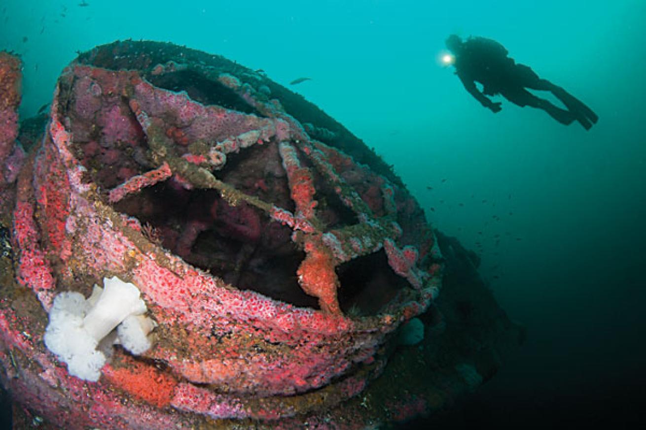 Wreck diving on the HMCS Yukon in San Diego, California