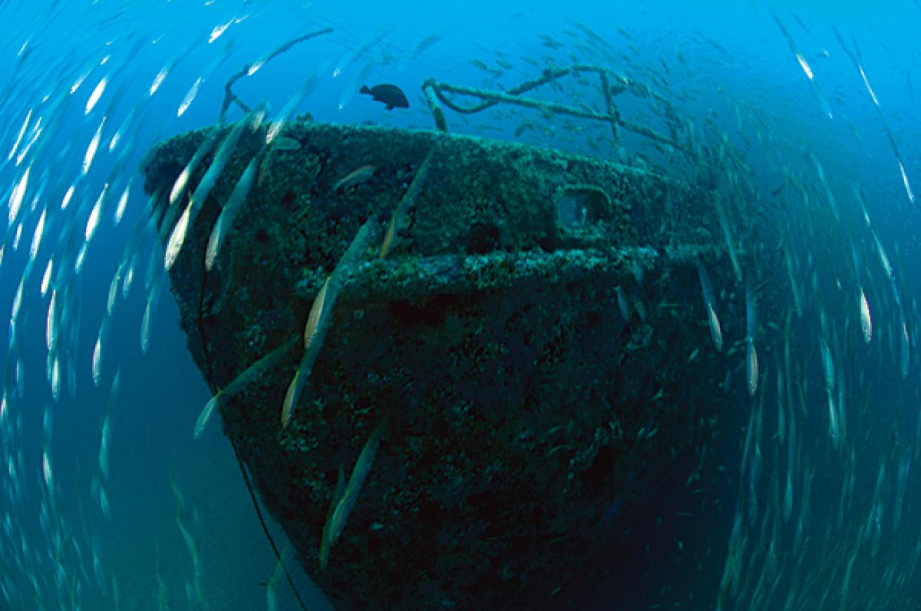 Scuba dive WWII shipwrecks in North Carolina