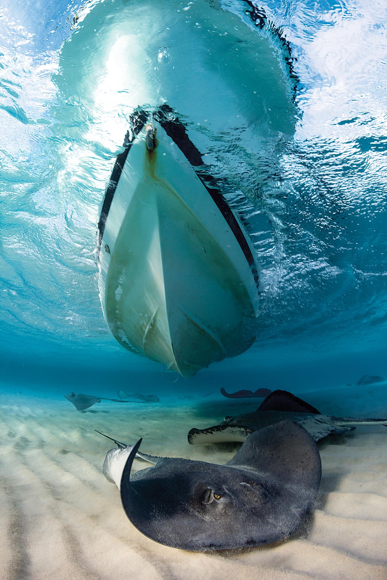 best overall diving destinations