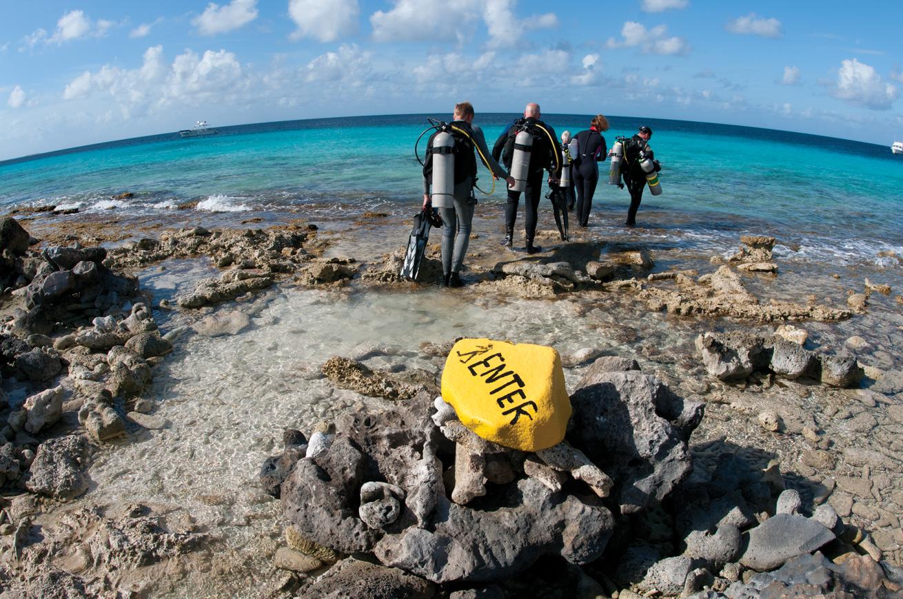 best shore diving destinations