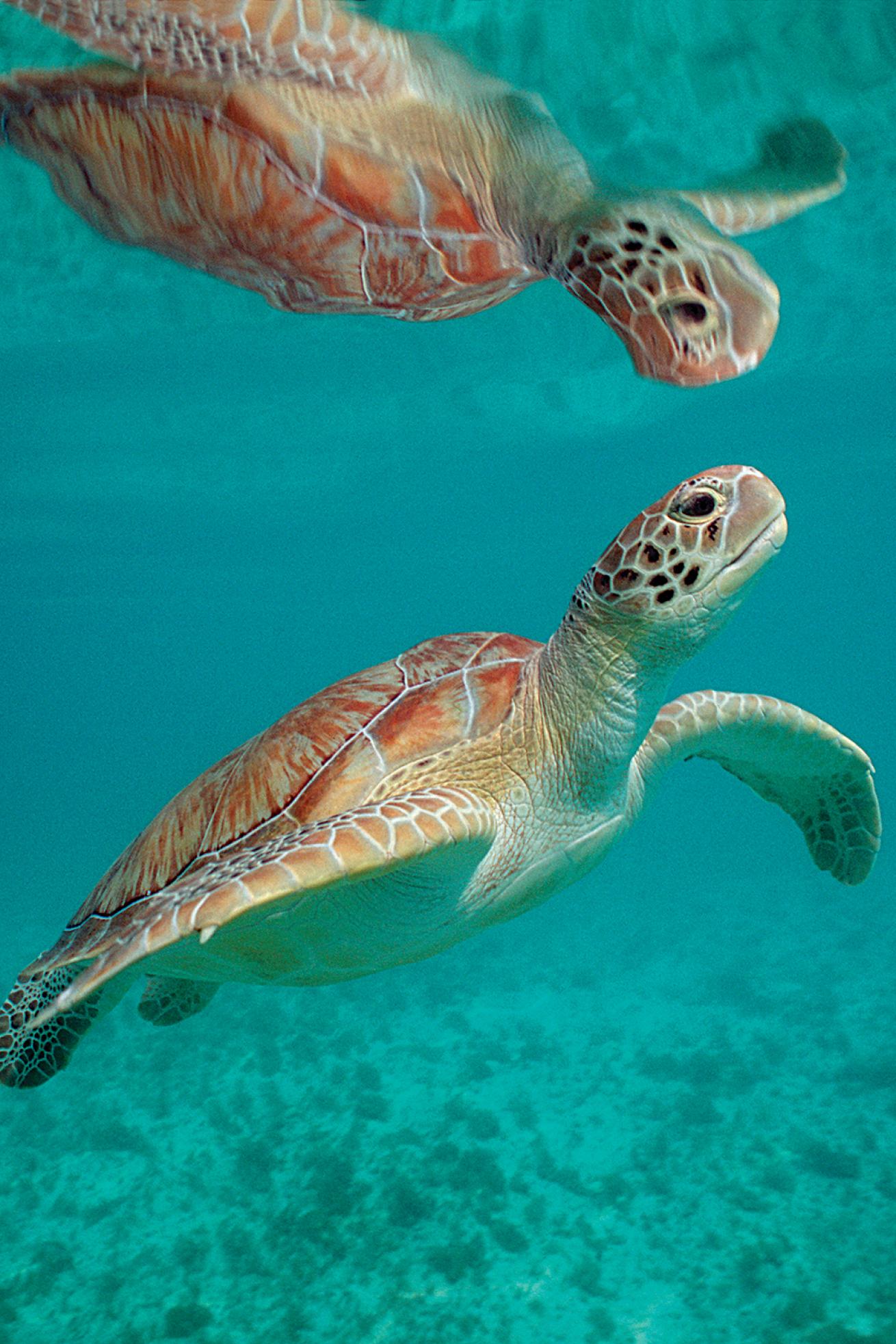 best dive sites with good visibility
