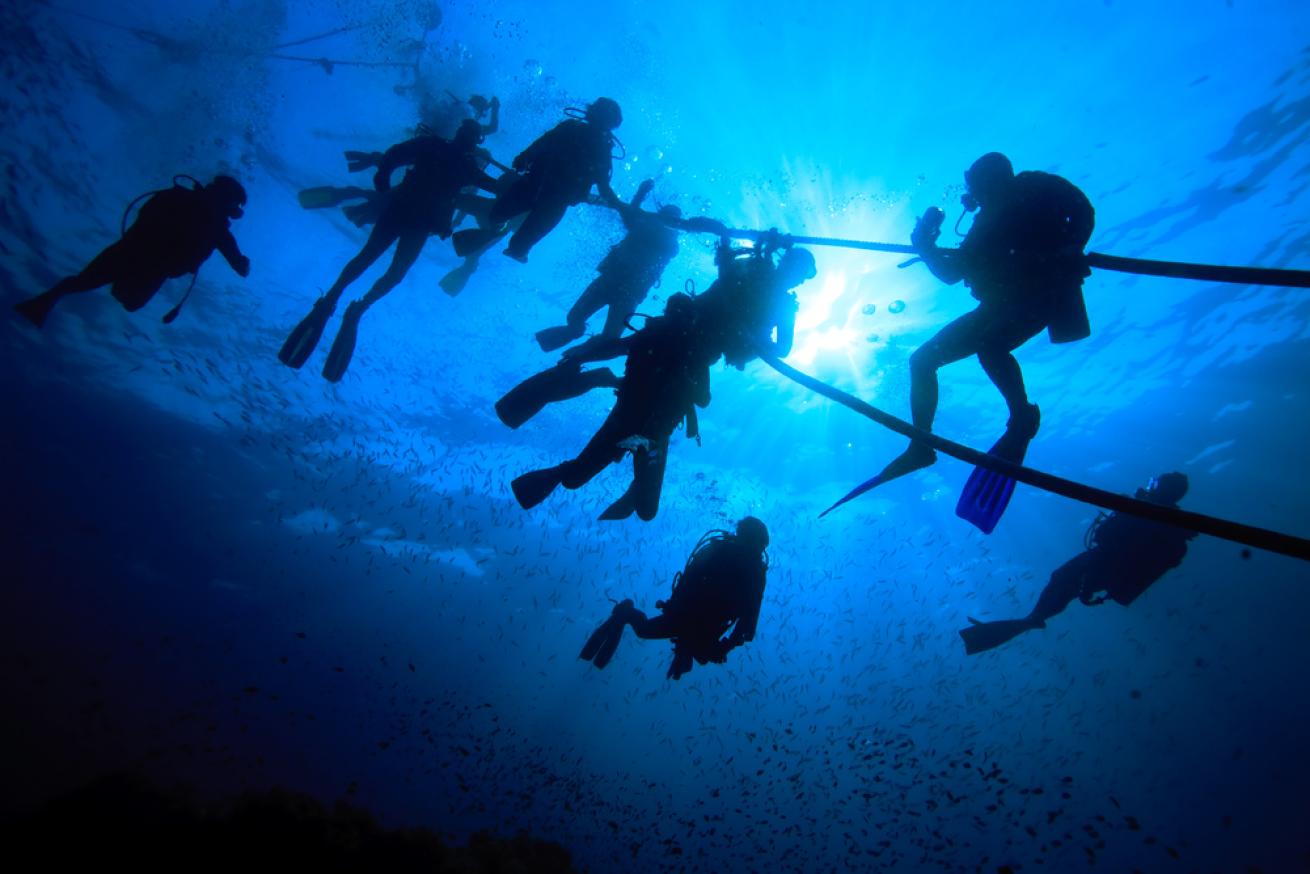 divers at a safety stop