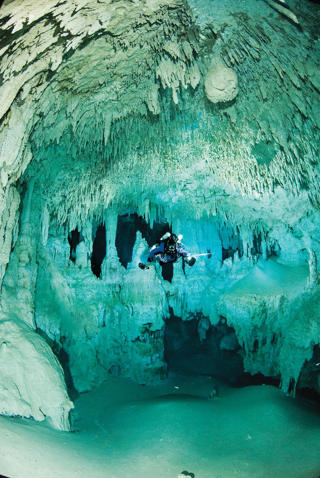 scuba diving playa del carmen, mexico