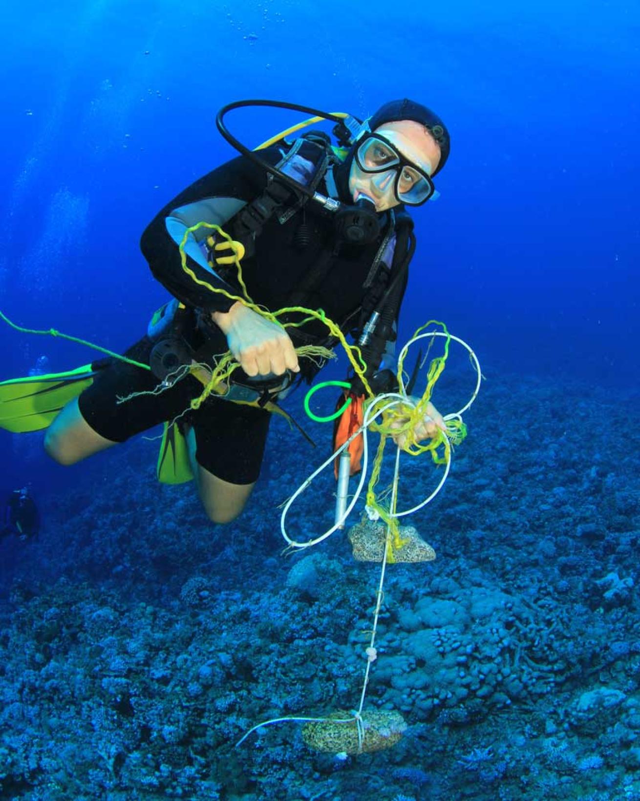 Dive Against Debris