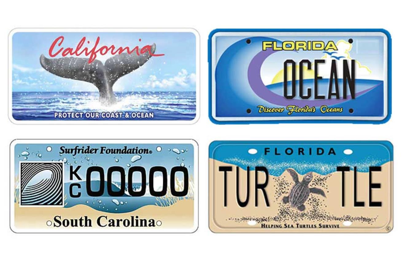 specialty license plate