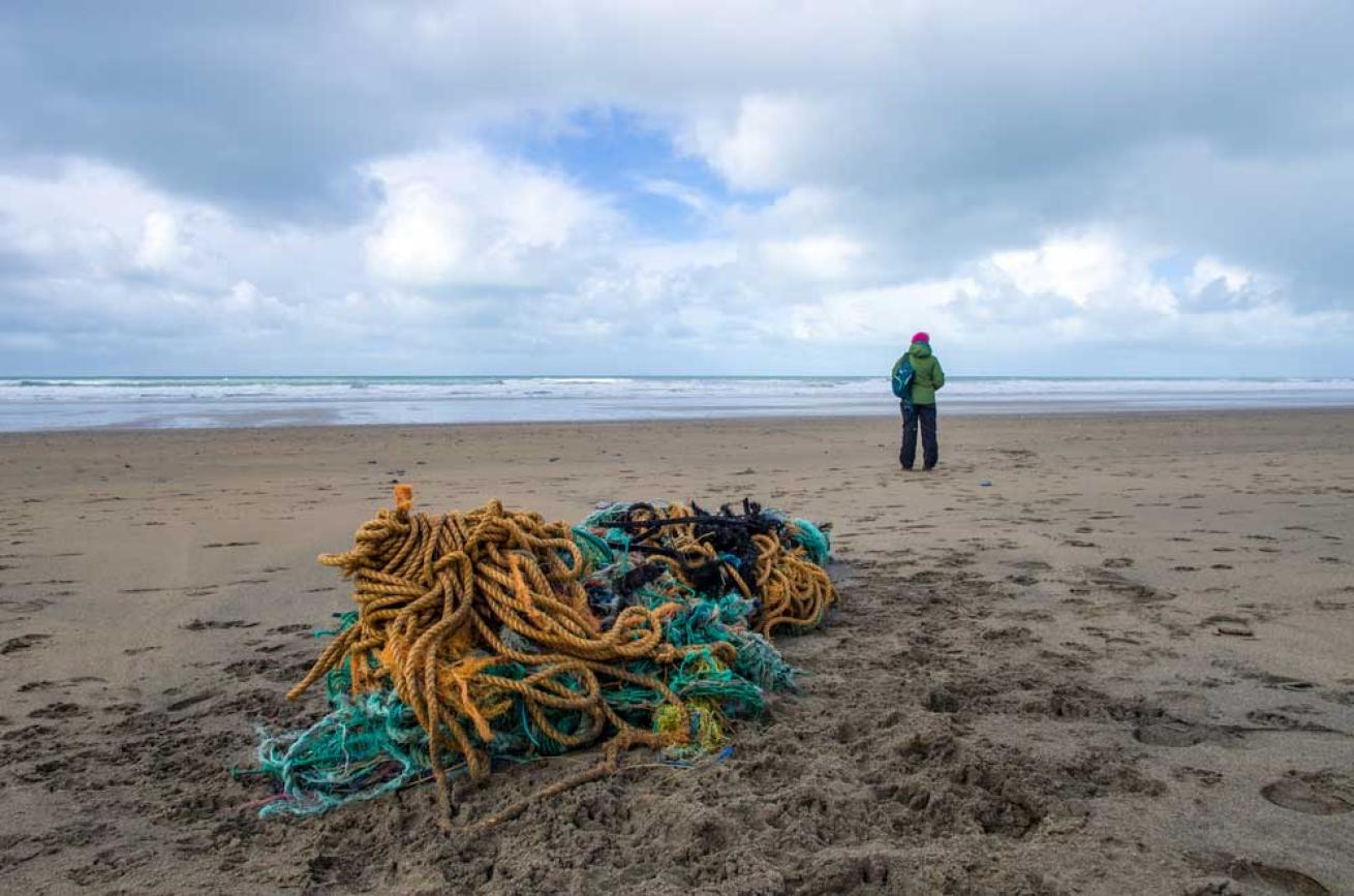 fishing lines