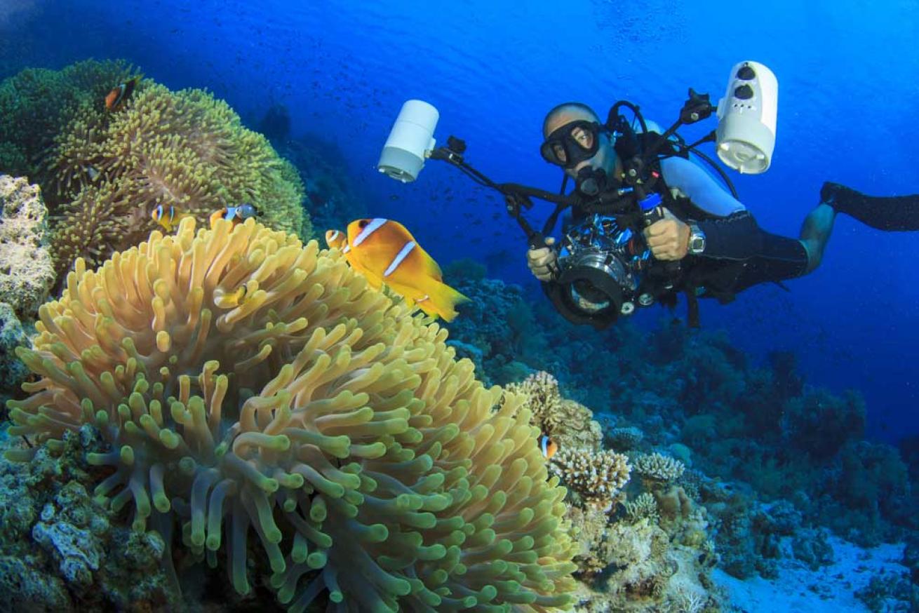 underwater photos