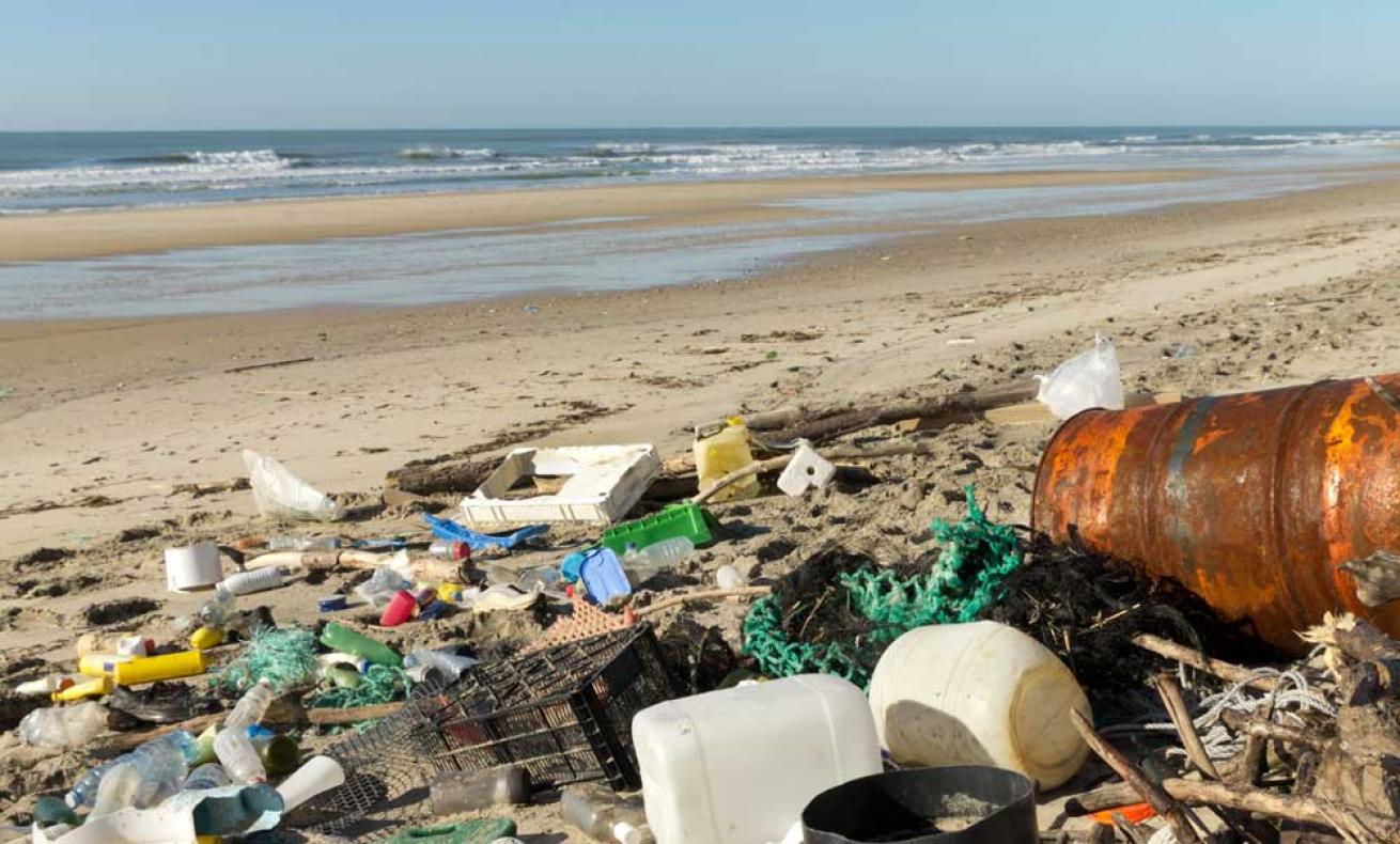 beach cleanup