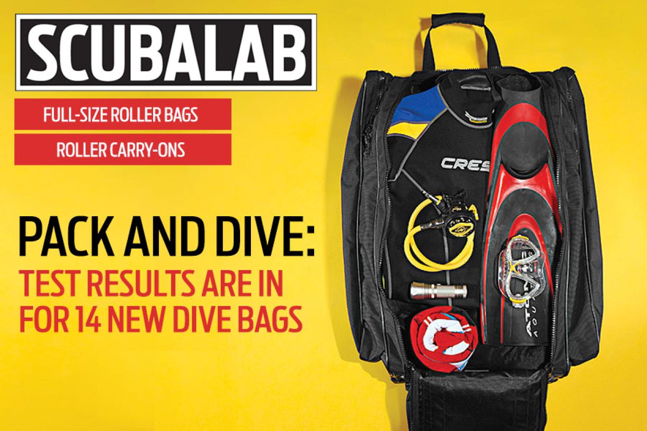 scuba diving gear and travel bags