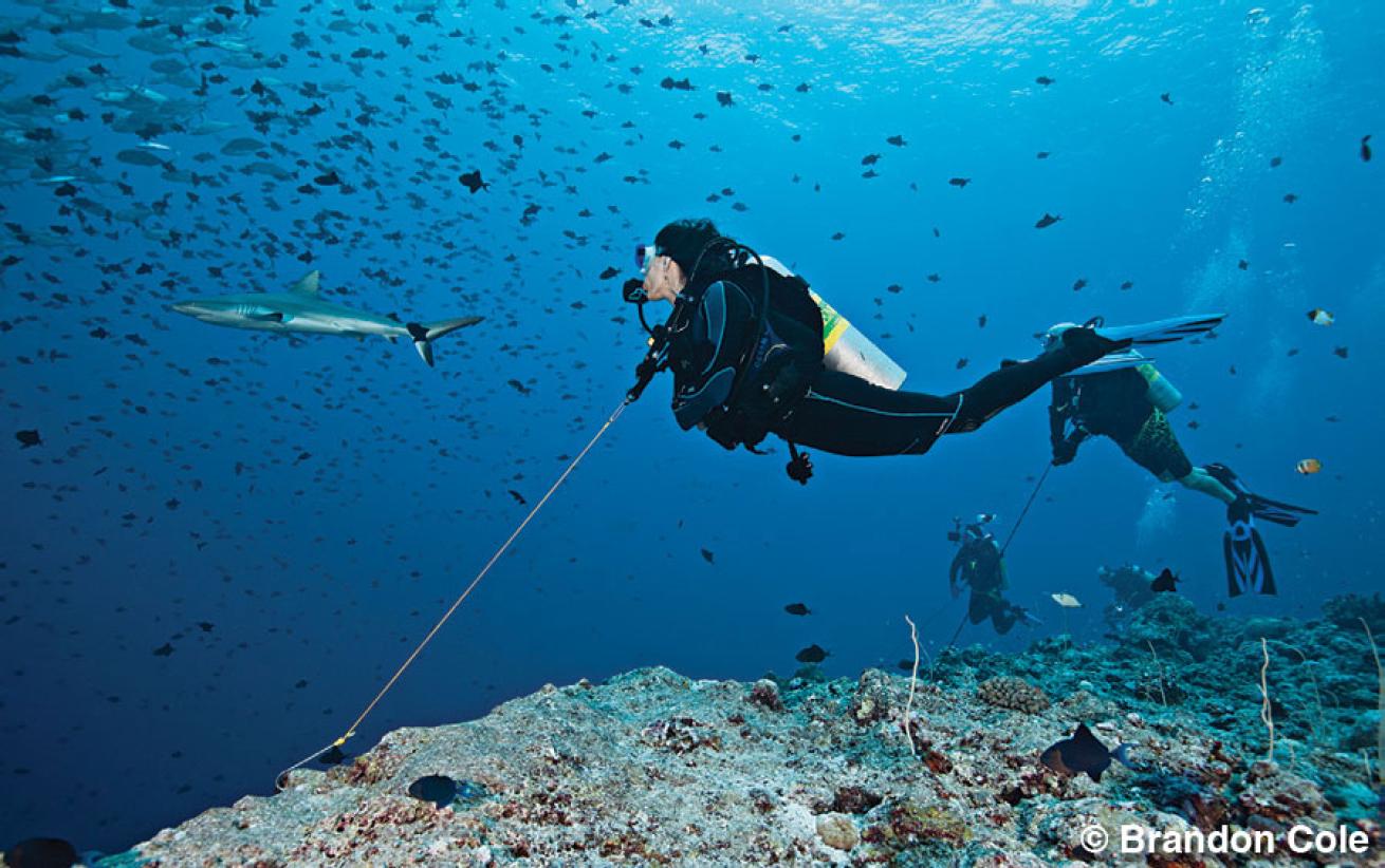 scuba diving in Palau