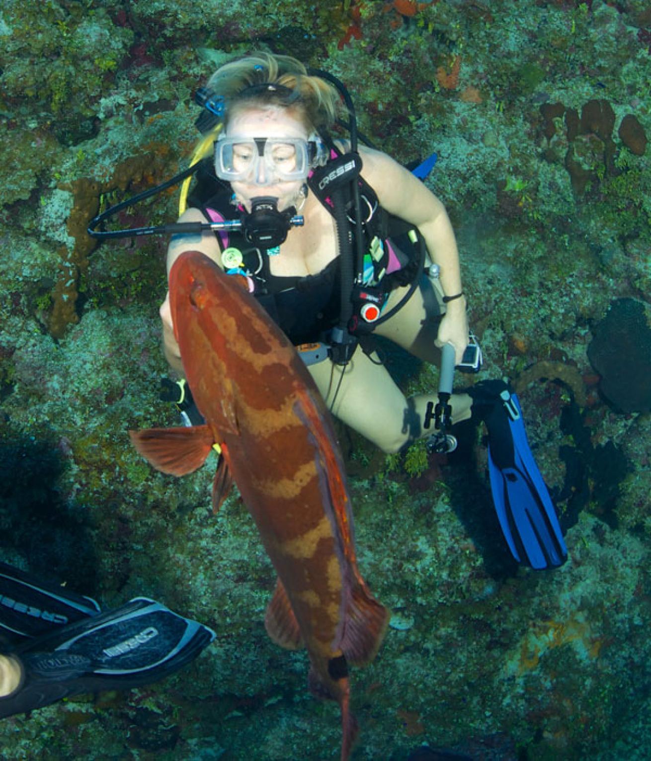 Scuba diver and grouper 