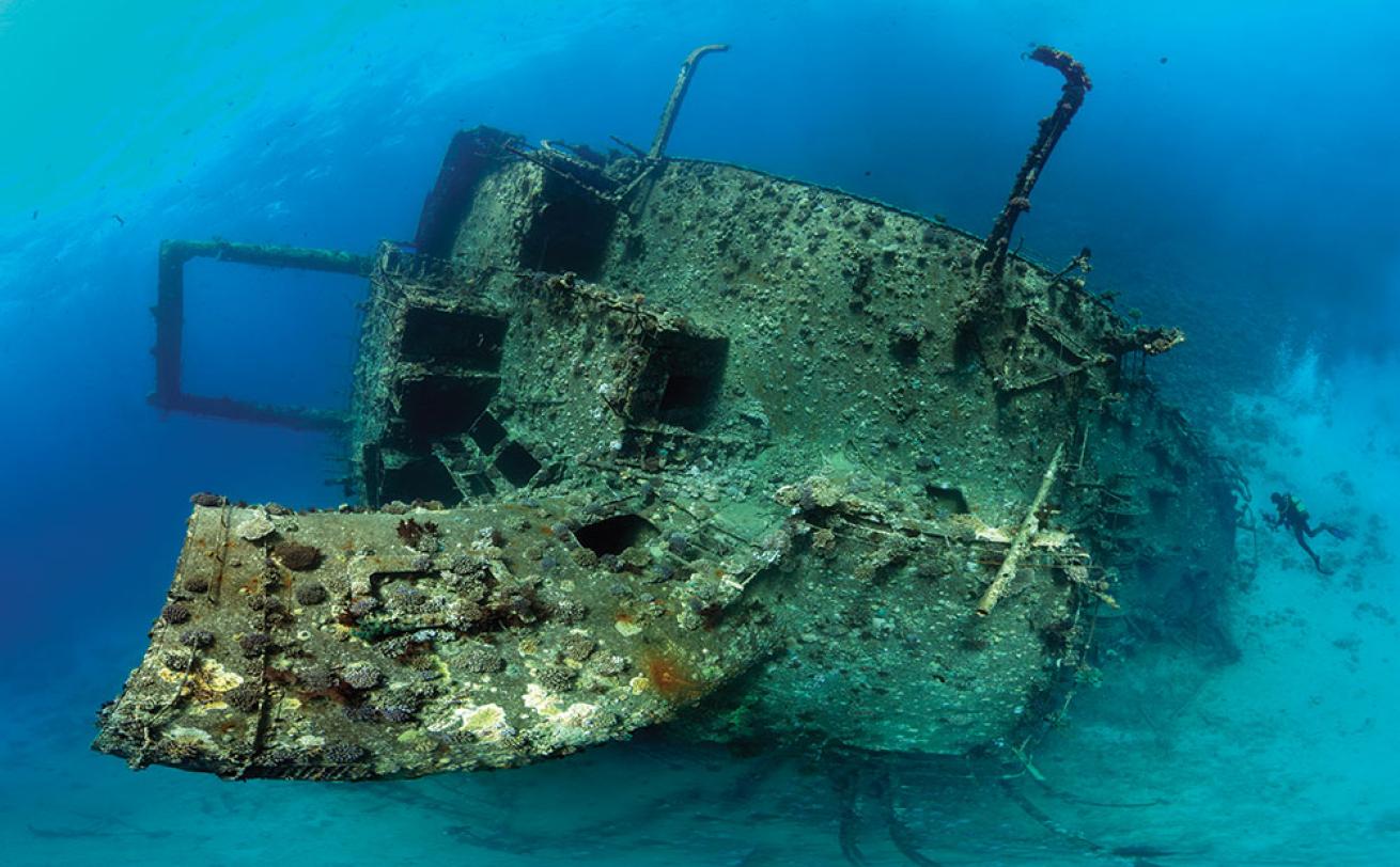 scuba diving red sea