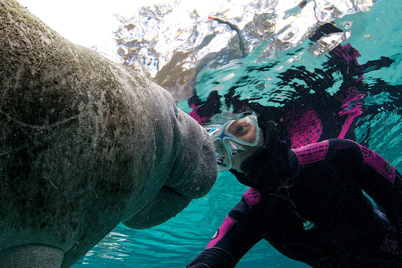 scuba diving freshwater springs florida