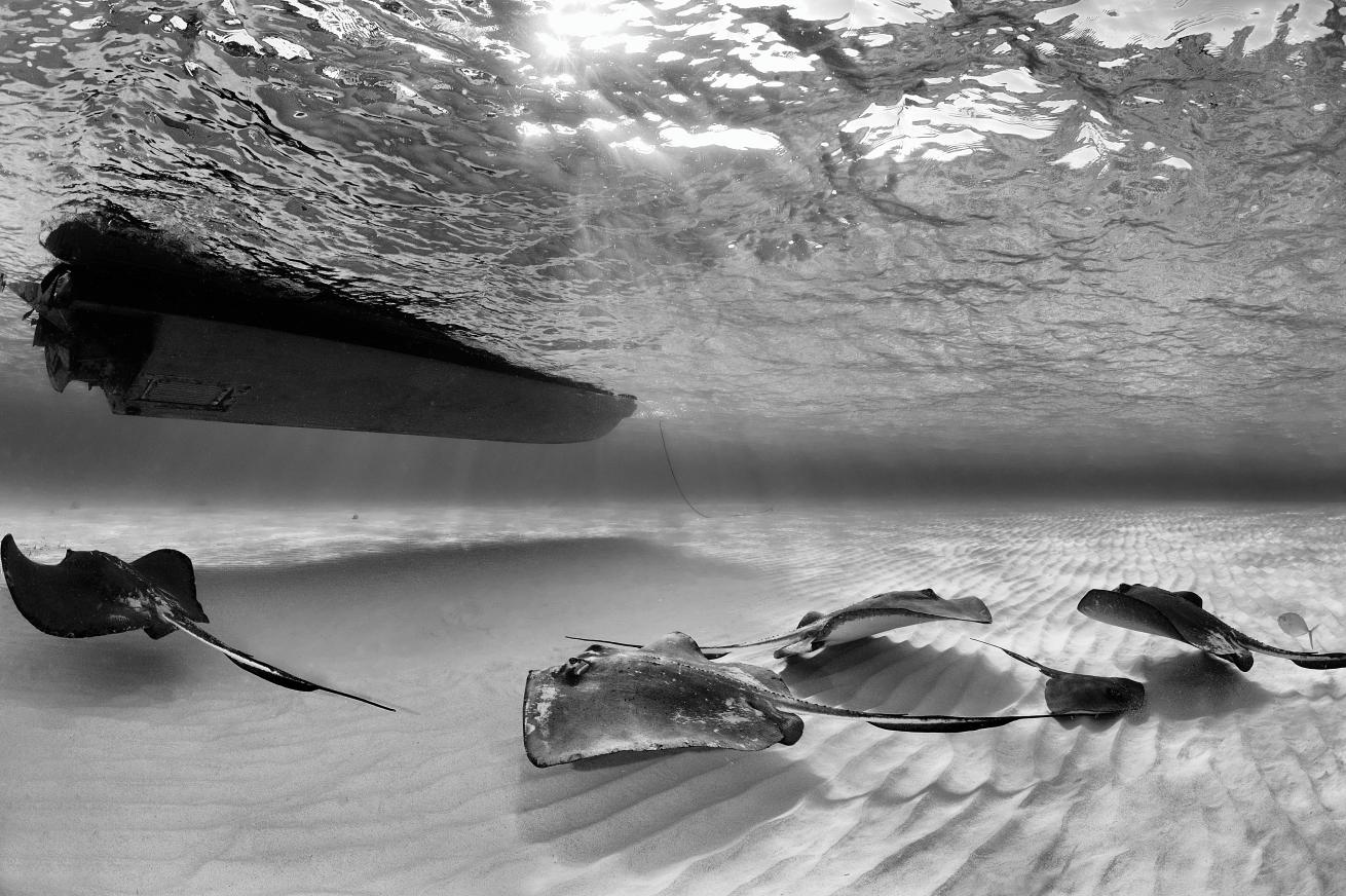 scuba diving cayman islands
