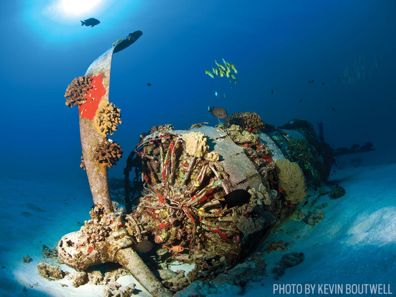 Vought F4U Corsair airplane wreck scuba diving Hawaii