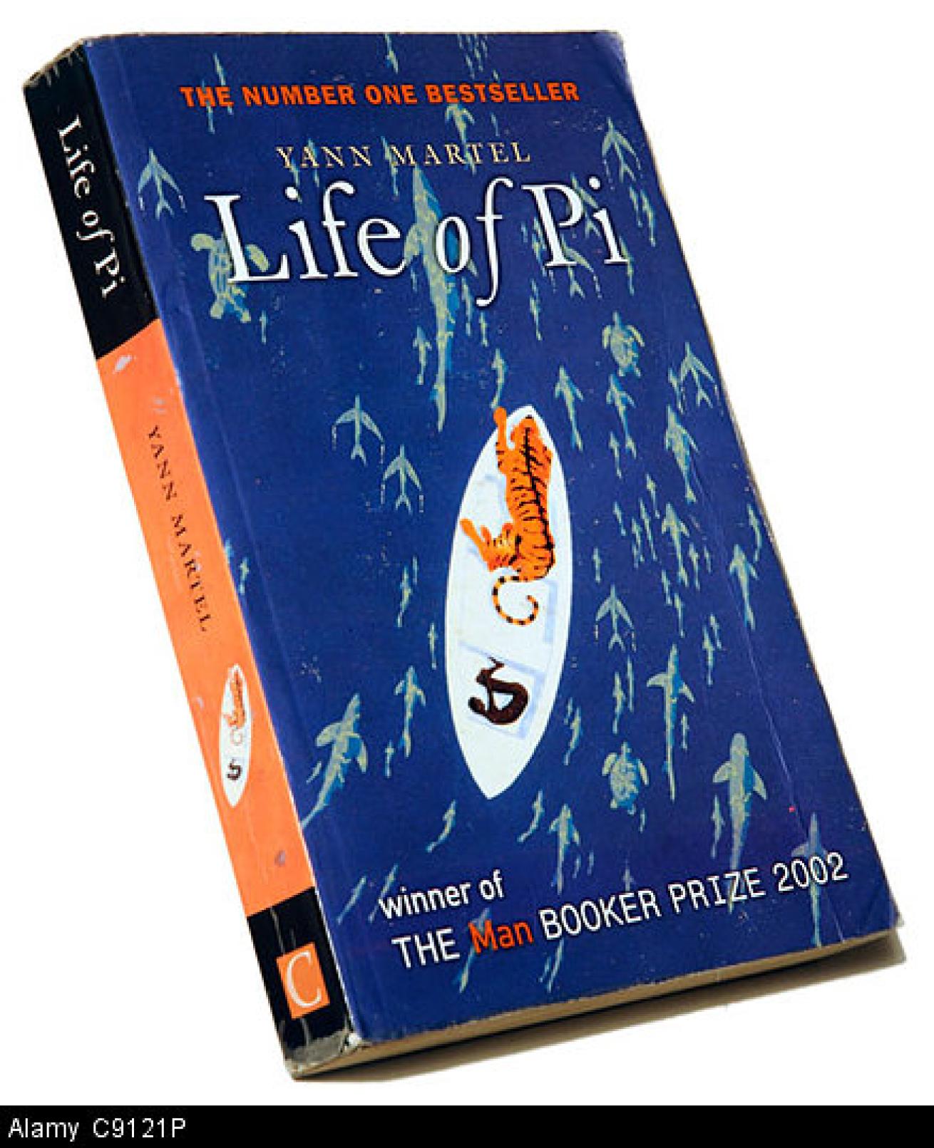 life of pi book shipwreck Yann Martel